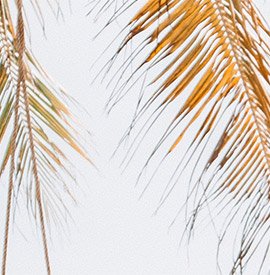 subscribe image background